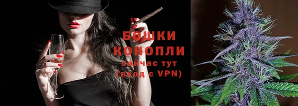 шишки Наволоки