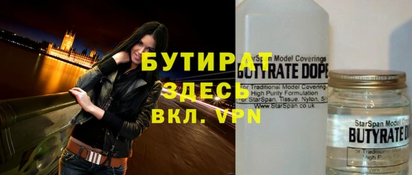индика Инта