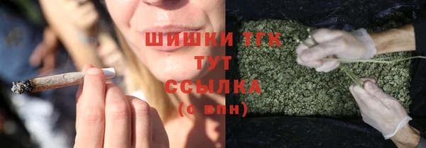 дмт Переславль-Залесский