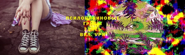 прущие крисы Пересвет