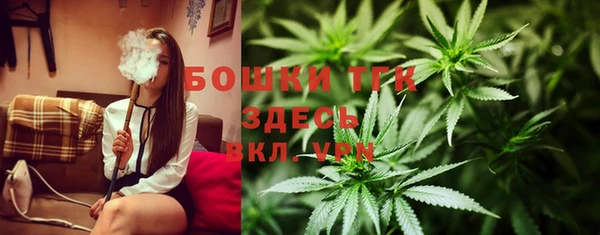 шишки Иннополис