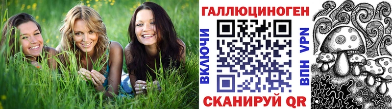Псилоцибиновые грибы Cubensis  Астрахань 