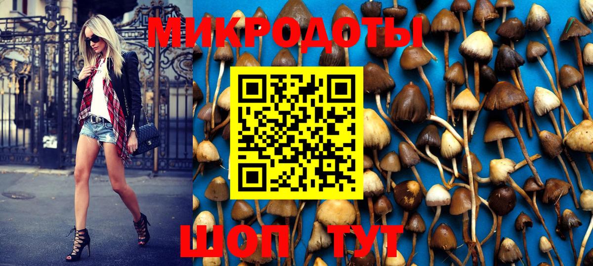 Псилоцибиновые грибы прущие грибы  Галлюциногенные грибы GOLDEN TEACHER  Вход с VPN  Астрахань 